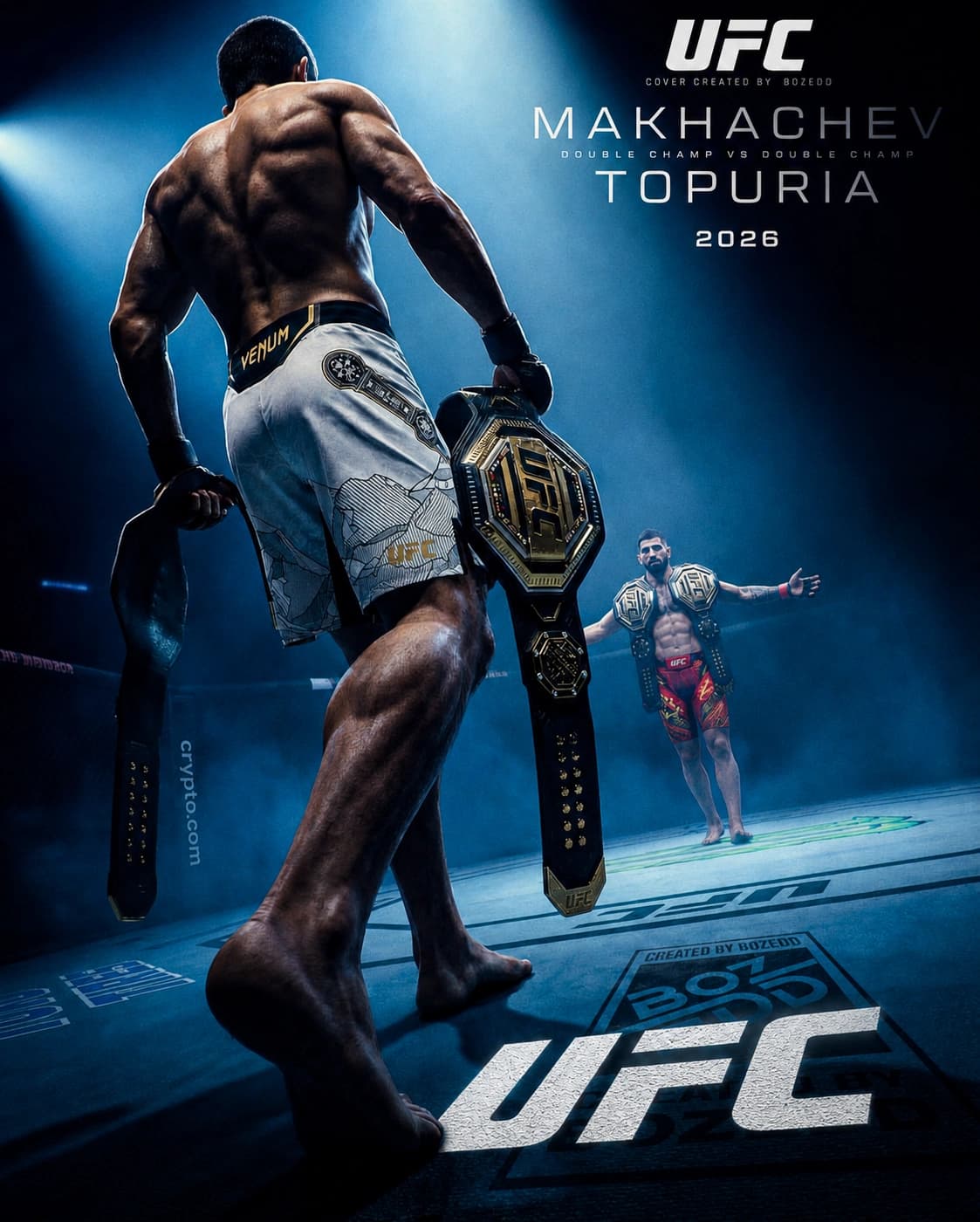UFC Fight